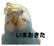 843590175