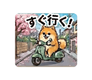 843590510