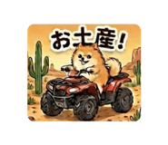 843590513