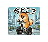 843590517