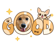 843590964