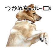 843590967