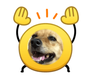 843590978