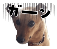 843590979