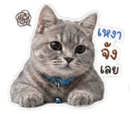 843593221