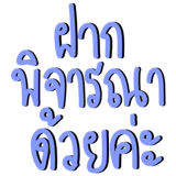 843593294