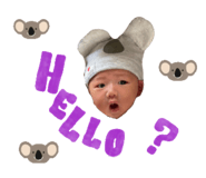 843593313