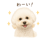 843593679