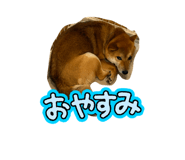 843594050