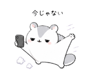 843594057