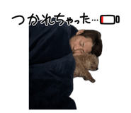 843594377