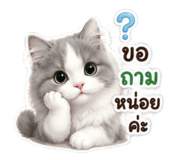 843594509