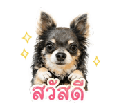843595209