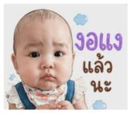 843595538