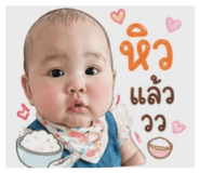 843595540