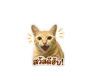 843595705