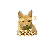 843595707