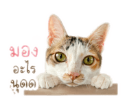 843595765