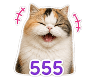 843597148