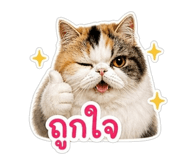 843597150