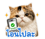 843597169