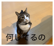 843597776
