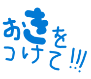 843597877