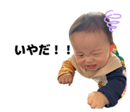 843597989