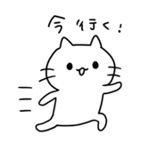 843598031