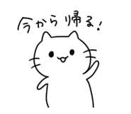 843598032