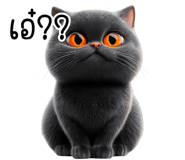 843598503