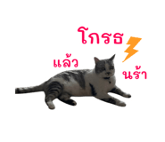 843599316