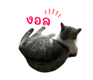 843599318