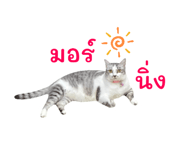 843599321