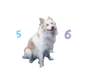 843601213