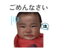 843601268