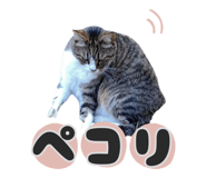 843601397