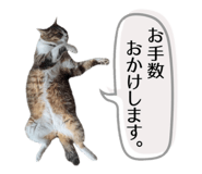 843601400
