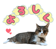 843601401