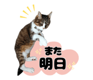 843601404