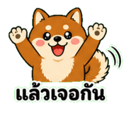 843601462