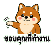 843601464