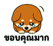 843601466