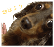 843601577