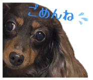 843601583