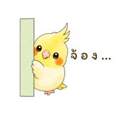 843601812