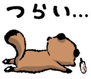 843602111