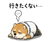 843602618