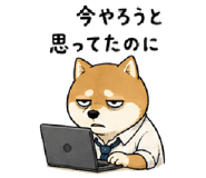843602626
