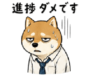 843602628